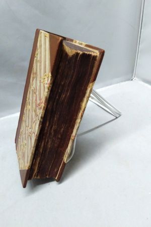 Reliquiae Wottonianae image number 1