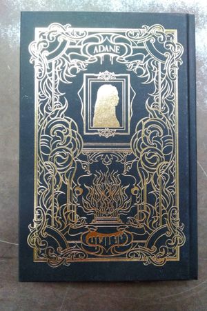 Eternal Ruin (Immortal Dark 2 -- FairyLoot Edition) image number 1