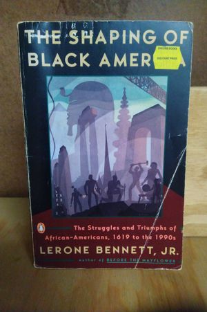 The Shaping of Black America image number 0