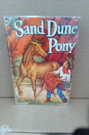 Sand Dune Pony  image number 0
