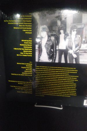 Ramones Mania (Best Of The Ramones) image number 1