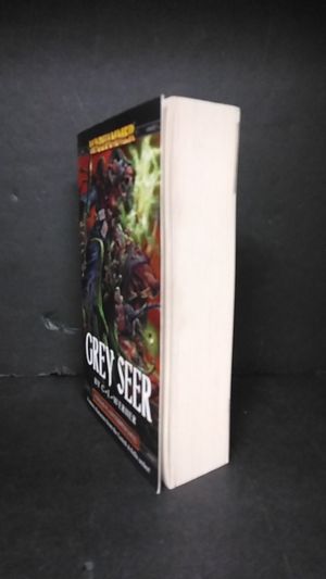 Grey Seer image number 2