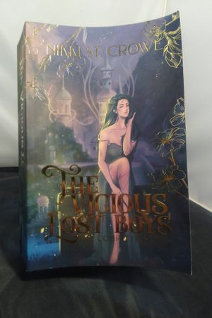 The Vicious Lost Boys: The Complete Series image number 0