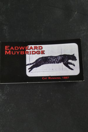 Fliptomania Muybridge Cat Flipbook image number 0