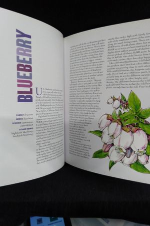 The Honey Connoisseur: Selecting, Tasting, and Pairing Honey, With a Guide to More Than 30 Varietals image number 1