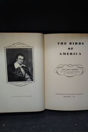 The Birds of America image number 2