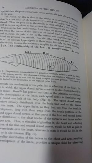Diseases of the Heart image number 2
