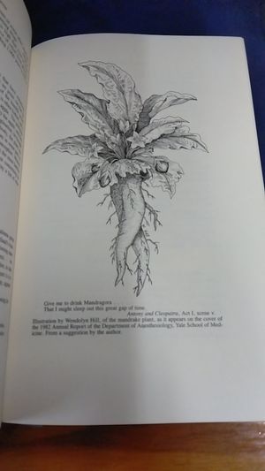 The Origins of Anesthesia image number 2