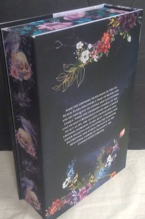 Storm of Chaos and Shadows Omnibus image number 1