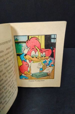 Woody Woodpecker and The Meteor Menace image number 2