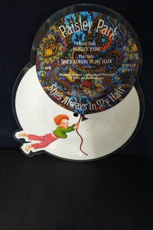 Paisley Park b/w She's Always in my Hair LP Picture Disc UK image number 1
