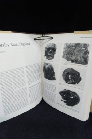 Bog Bodies : New Discoveries and New Perspectives image number 2