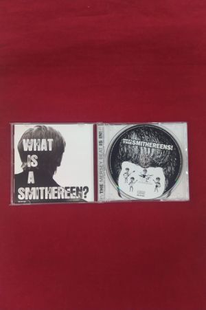 Meet the Smithereens! image number 2
