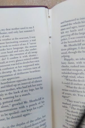 Wuthering Heights image number 2