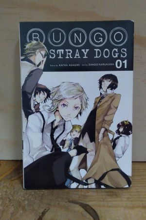 Bungo Stray Dogs 01 image number 0