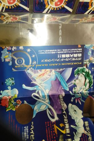 Pokemon Card Neo Genesis Johto Starter Full Evolutions Japanese Version image number 2