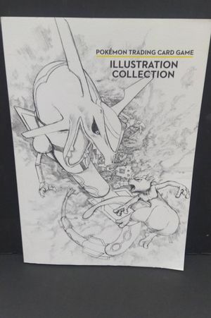 Pokemon Trading Card Game Illustration Collection image number 0