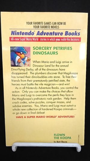 Flown the Koopa image number 1